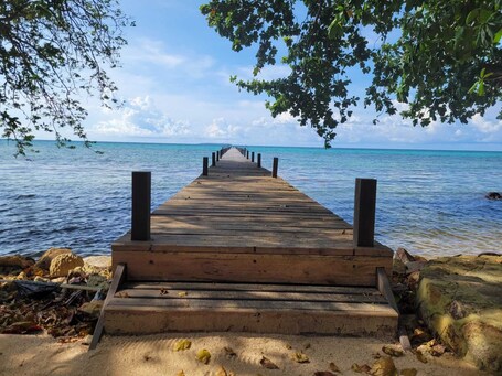 Muelle
