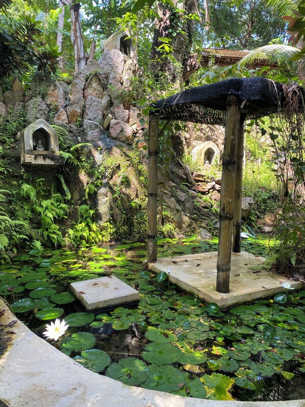 Jardin