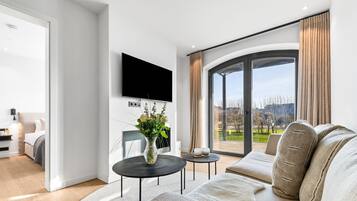 TV, fireplace, books, stereo