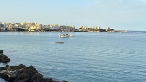 A coastal view with a rocky breakwater, calm sea, and buildings in the background. - Agriturismo Perla del Salento, just a few steps from the sea and the beautiful beaches (Puglia)