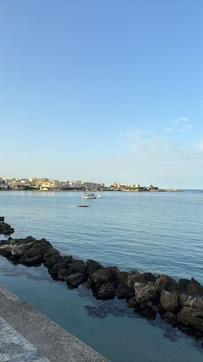 Miscellaneous - Agriturismo Perla del Salento, just a few steps from the sea and the beautiful beaches (Puglia)