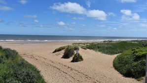 Une plage avec un sentier menant à la mer, entourée de verdure.
