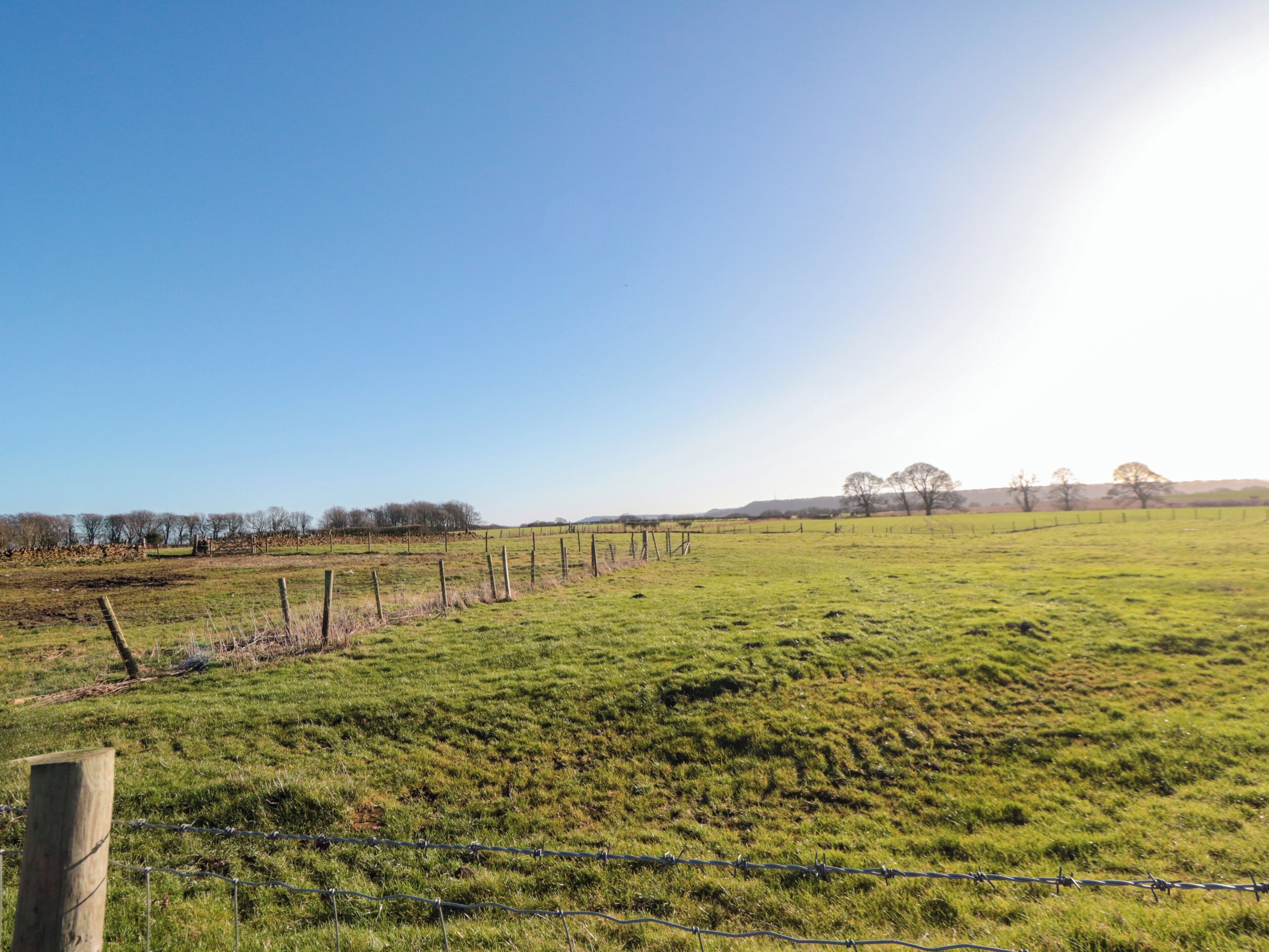 A grassy field with a wooden post and barbed wire fence.