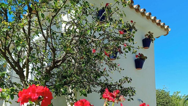 A white building with a tiled roof and multiple hanging flower pots.