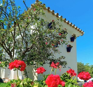 A white building with a tiled roof and multiple hanging flower pots.