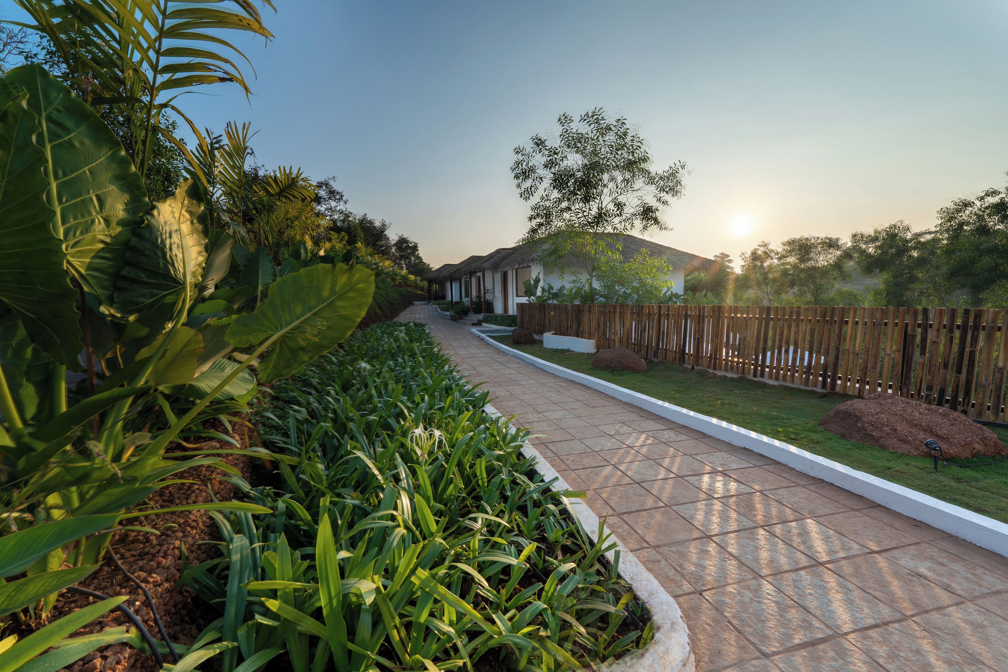 A pathway lined with lush greenery and a wooden fence, leading to a building with a thatched roof.