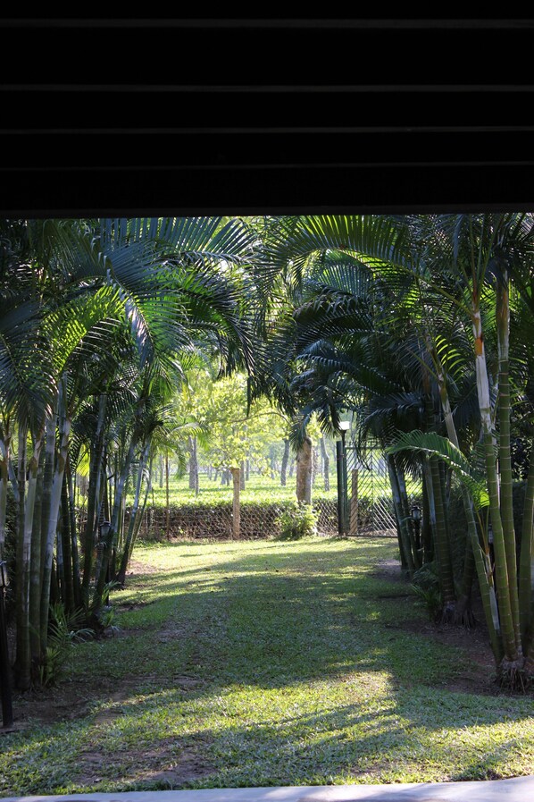 Interior - Mancotta Heritage Chang Bungalow (Dibrugarh)