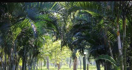 Mancotta Heritage Chang Bungalow