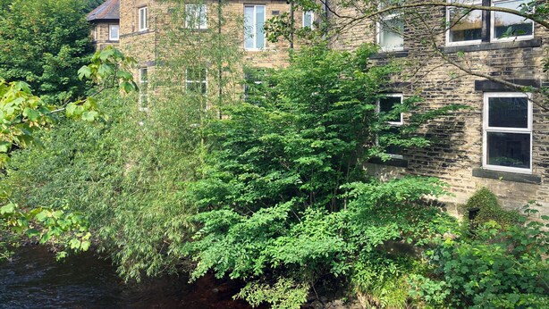 A stone building with multiple windows, surrounded by dense greenery and a small stream. - The Old Riverside School House Apt 3 (Hebden Bridge)