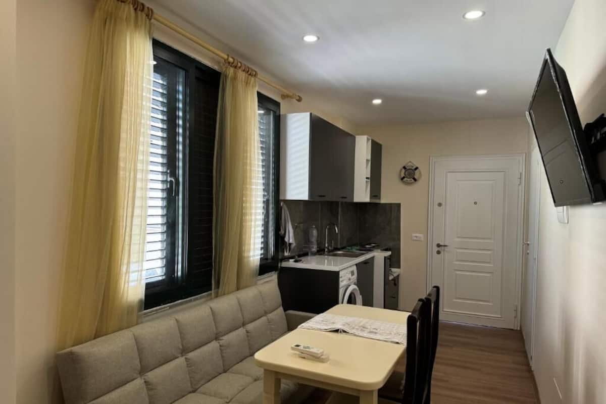 A compact living space with a sofa, a dining table, a kitchen area with a washing machine, and a TV mounted on the wall.