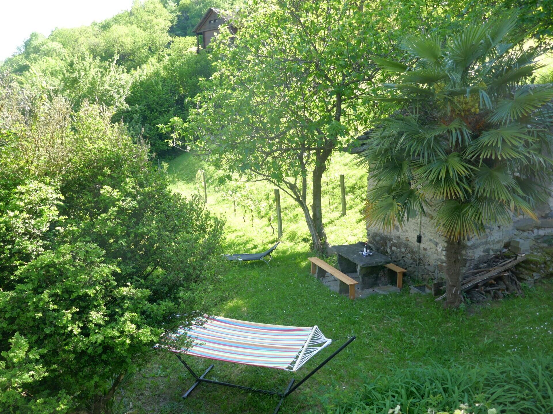 Arbuste, Jardin, Arrière-Cour, Pelouse, Ombre, Aménagement Paysager, Cour, Mobilier De Jardin, Jardin Botanique