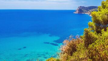 Appartement, 1 slaapkamer, toegankelijk voor mindervaliden, balkon | Uitzicht vanuit accommodatie