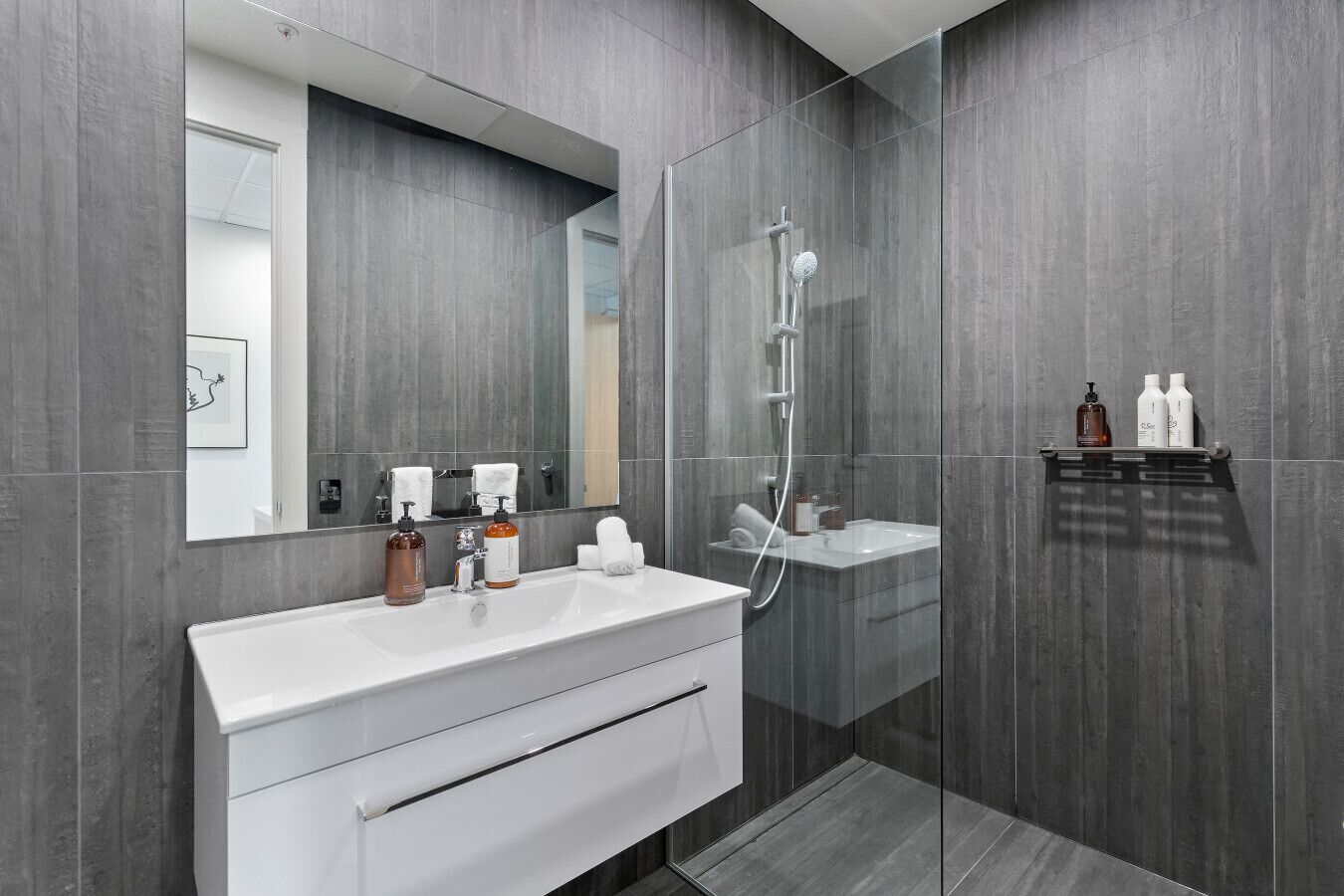 Shower, hair dryer