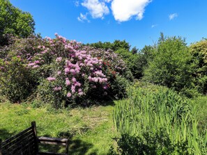 Cottage | Property grounds