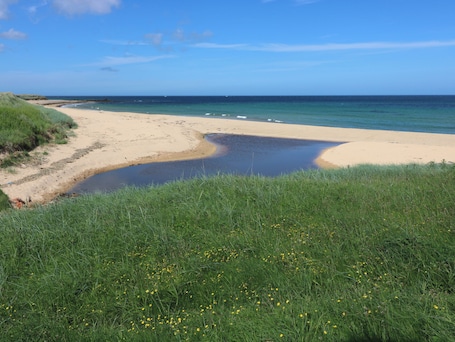 Una playa cerca