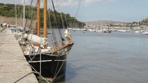A large sailing ship docked at a harbor with multiple smaller boats in the background. - Elsinore (Conwy)