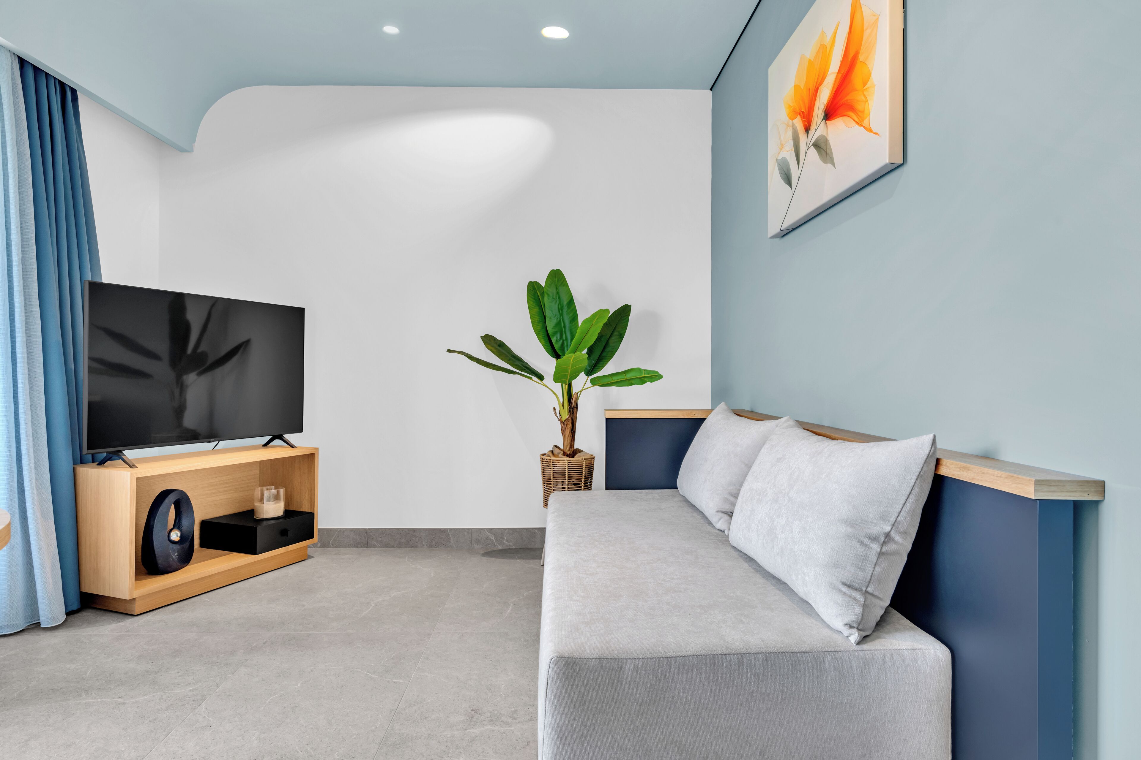 A modern living room with a flat-screen TV on a wooden stand, a grey sofa, a large green plant, and a wall-mounted picture.