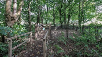 Área da propriedade