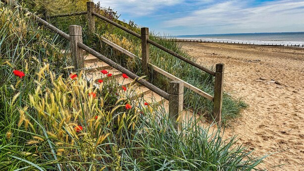 Una escalera de madera que baja hacia una playa arenosa, con una cerca de madera y flores rojas al frente.