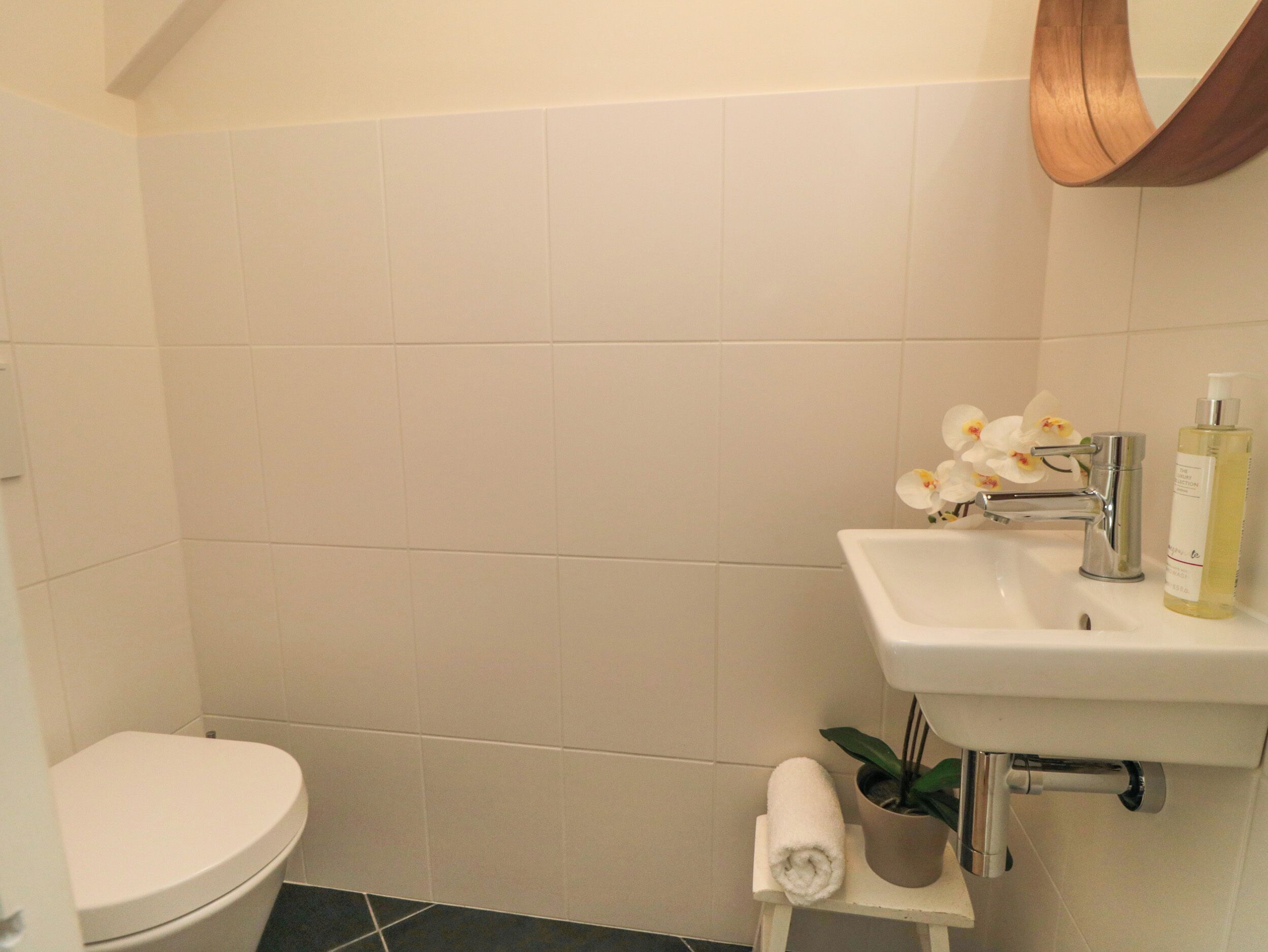 A small bathroom with a toilet, sink, and a small plant.