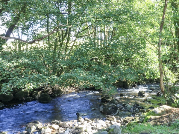 A natural stream surrounded by dense green foliage and rocks. - Islwyn (Bala)