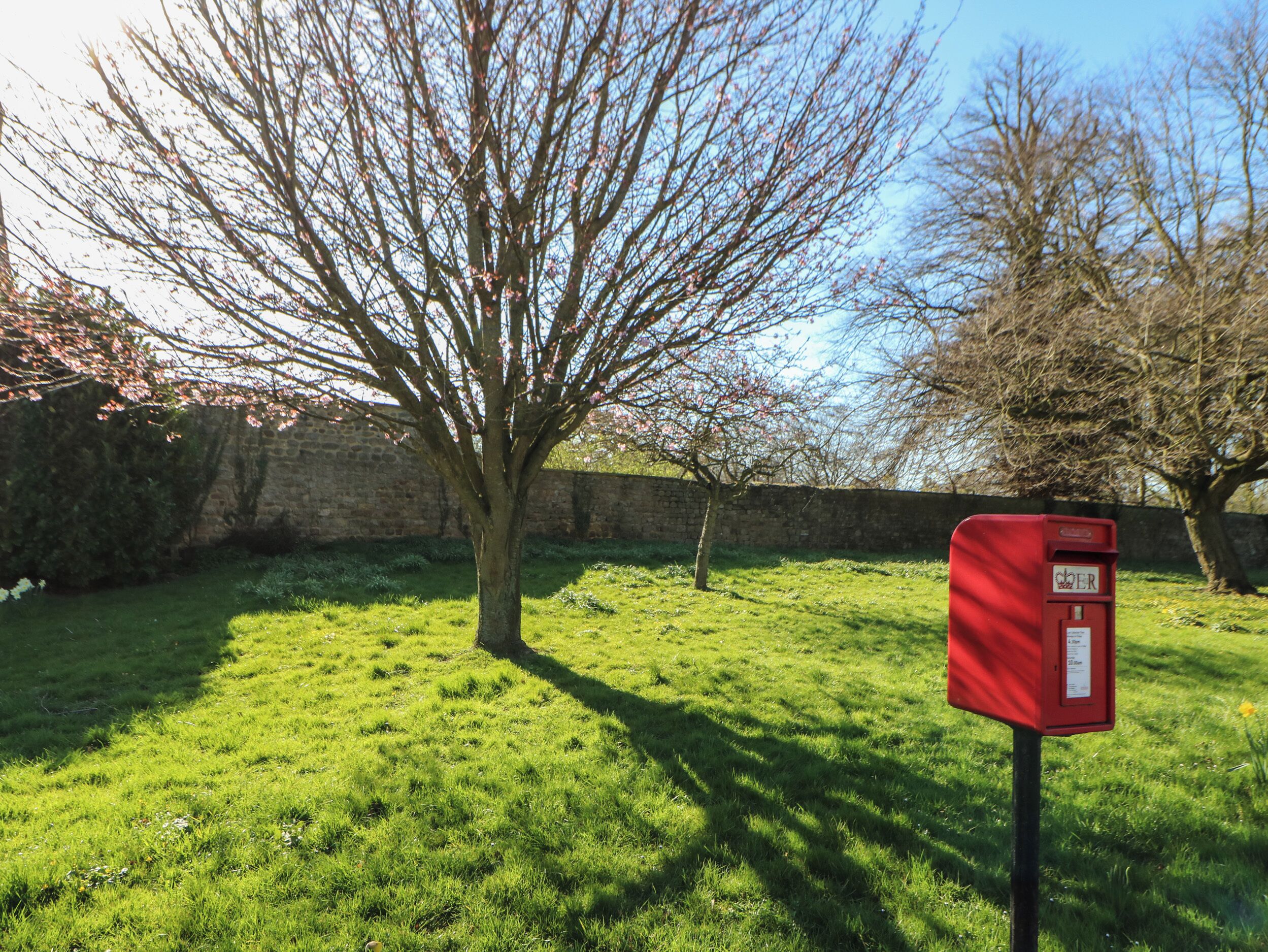 A mailbox in a grassy area with a stone wall and trees in the background.