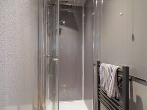 A glass-enclosed shower with a towel rack and a showerhead.