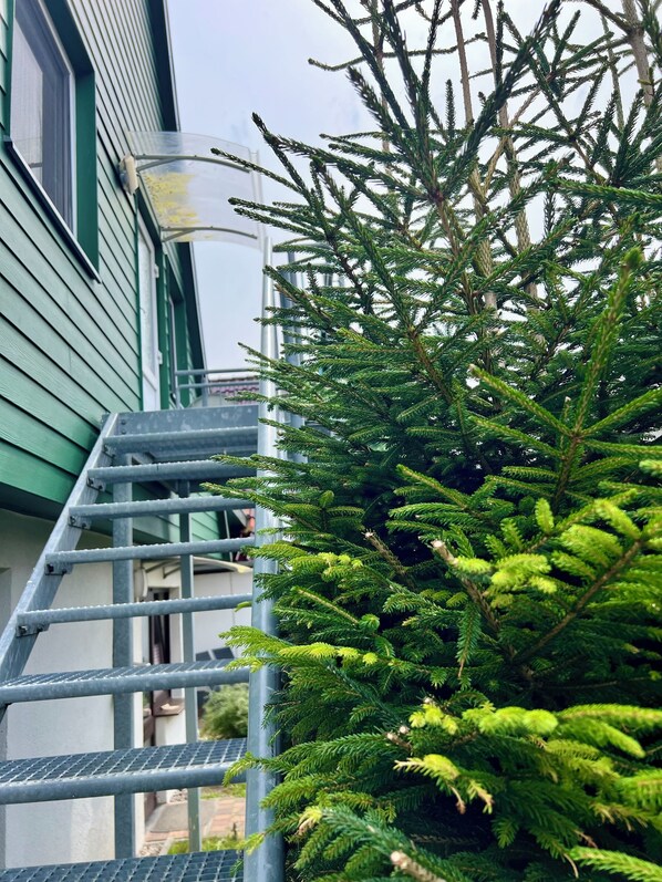 Overnattingsstedets uteområder