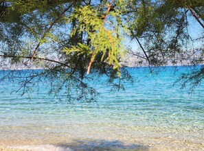 Una vista despejada de una playa con aguas tranquilas y árboles en primer plano.