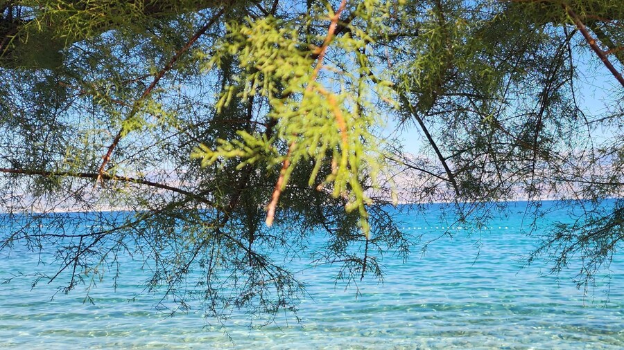 Charming Apartments Zara & Mia