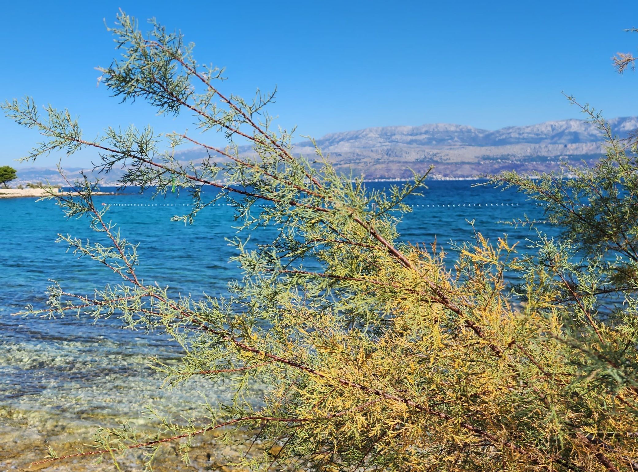 A coastal landscape with clear blue water, a rocky shoreline, and distant mountains.