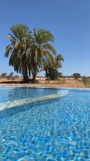 Pool - Olive house .Unique villa with large infinity pool and cinema room (Mezraya)