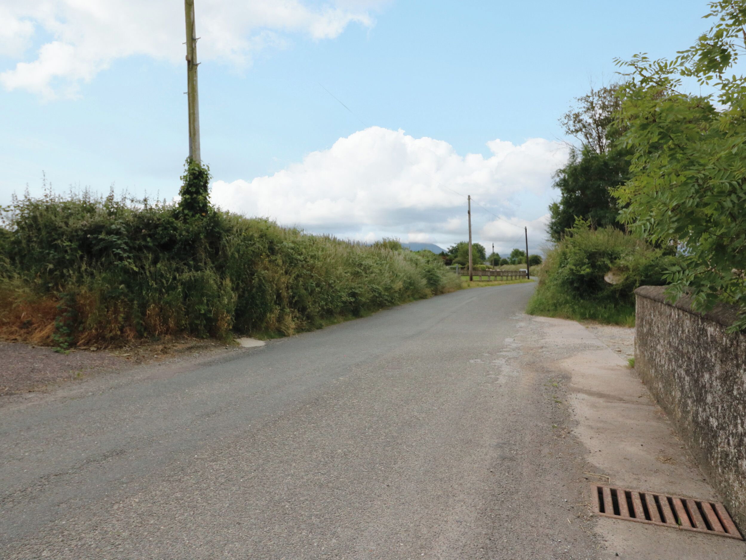Une route de campagne bordée d’un côté par un mur de pierres et de l’autre par de la végétation.