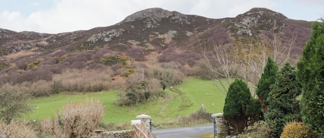 المنطقة المحيطة بالمنشأة