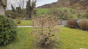 A residential property with a well-maintained lawn, a small tree, and a stone wall. - James Neills Cottage (Maghernalaght)