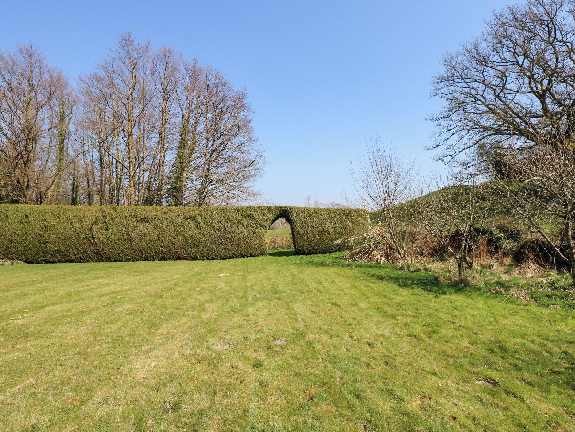 Ein grünes Feld mit einer Stegbrücke und einer Hecke.