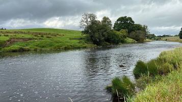 A river with a grassy bank and trees in the background.