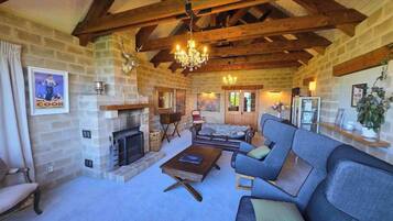 TV, fireplace, books