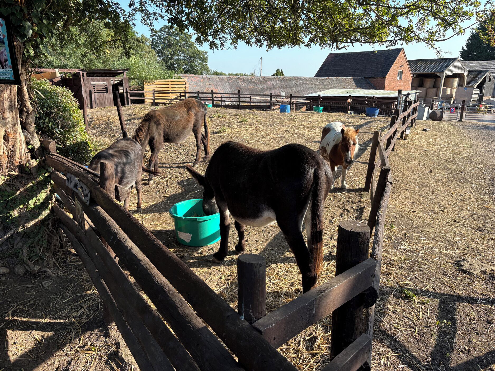 A stable with horses and a wooden fence.