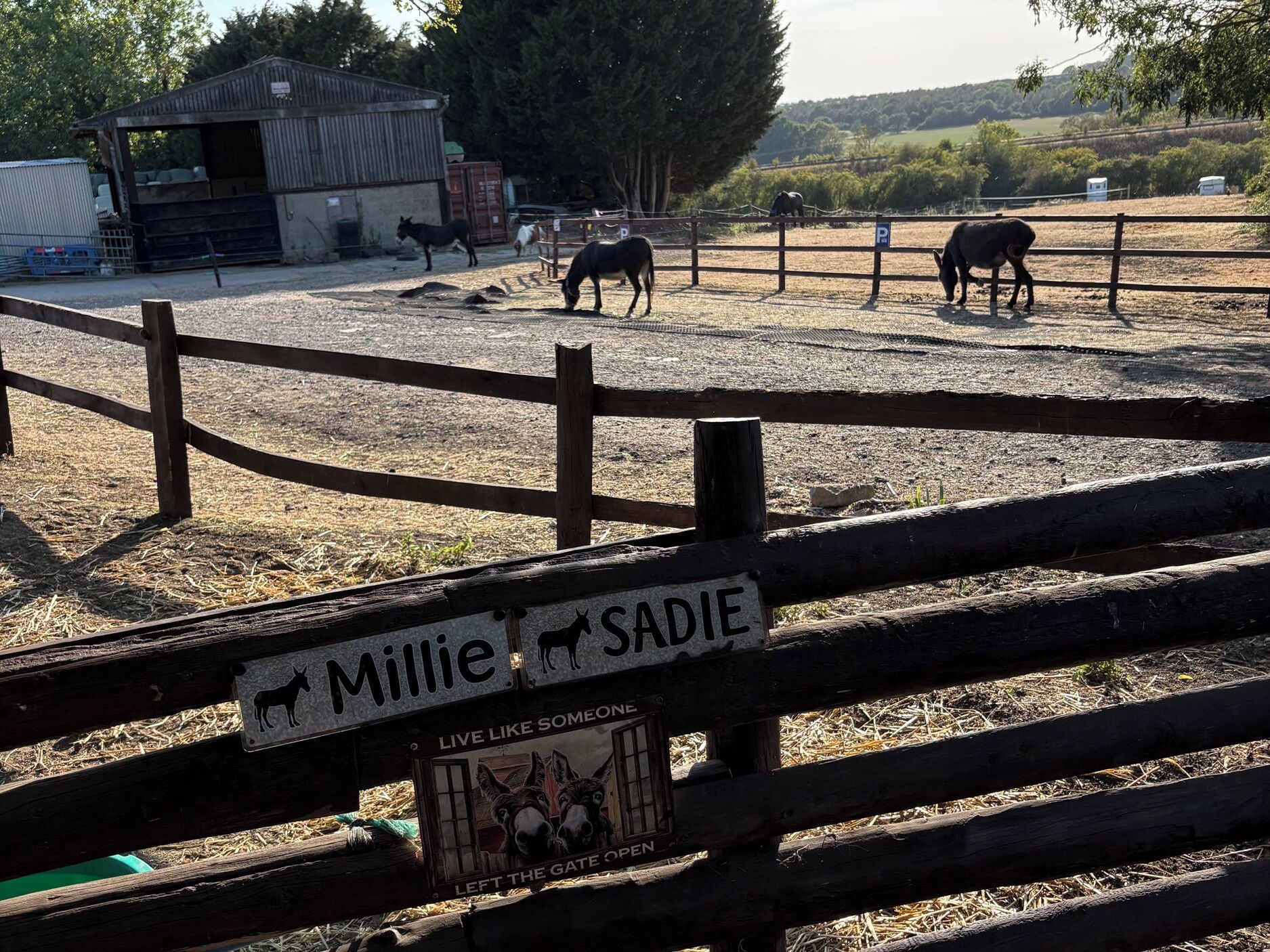 A fenced area with a sign reading 'Millie Sadie' and a gate labeled 'Live Like Someone.'