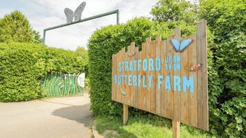 Khuôn viên nơi lưu trú