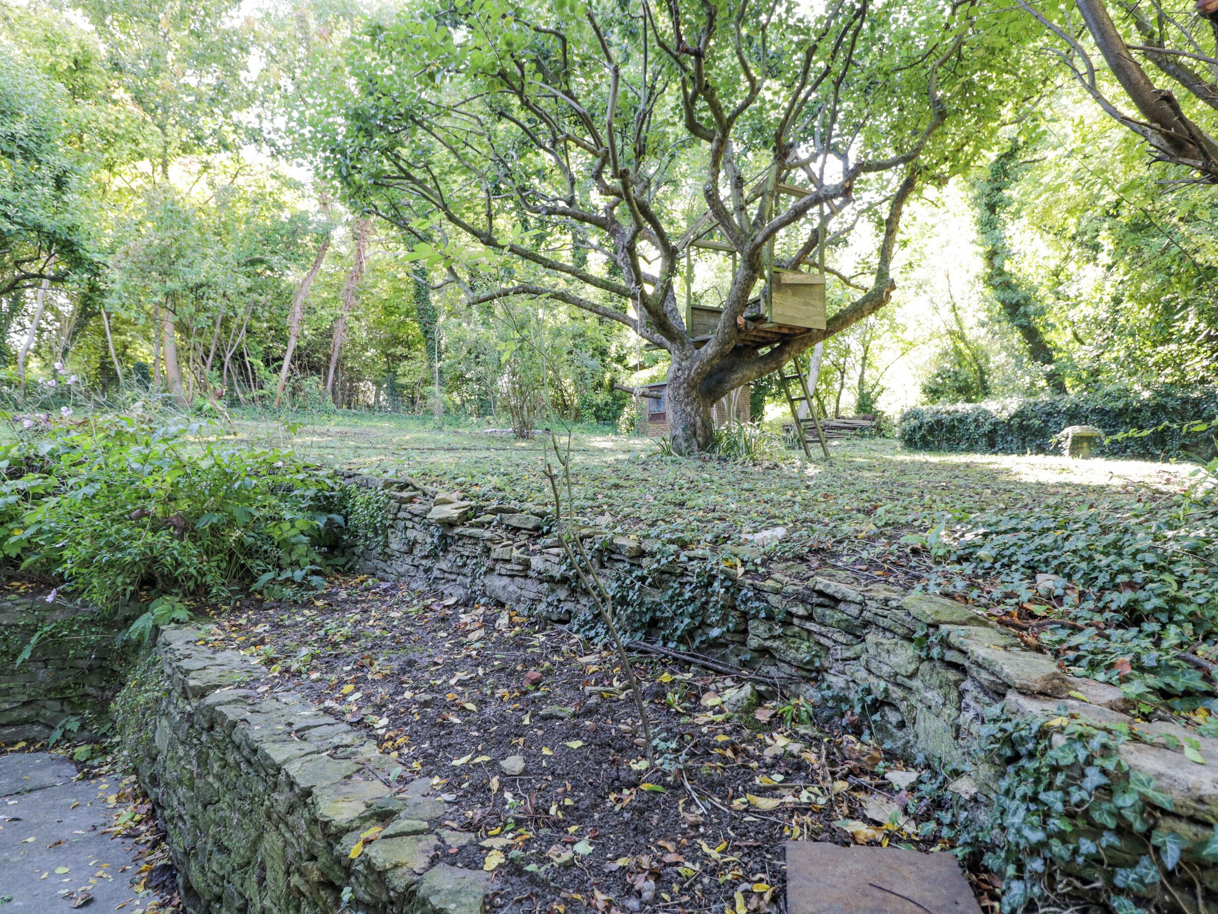 A stone wall with a tree in the background.