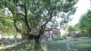 Uma casa com uma casa na árvore construída em uma grande árvore, cercada por uma área gramada e um muro de tijolos.