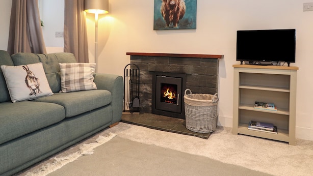 A cozy living room with a green sofa, a fireplace, a television on a wooden stand, and a painting of a bull.