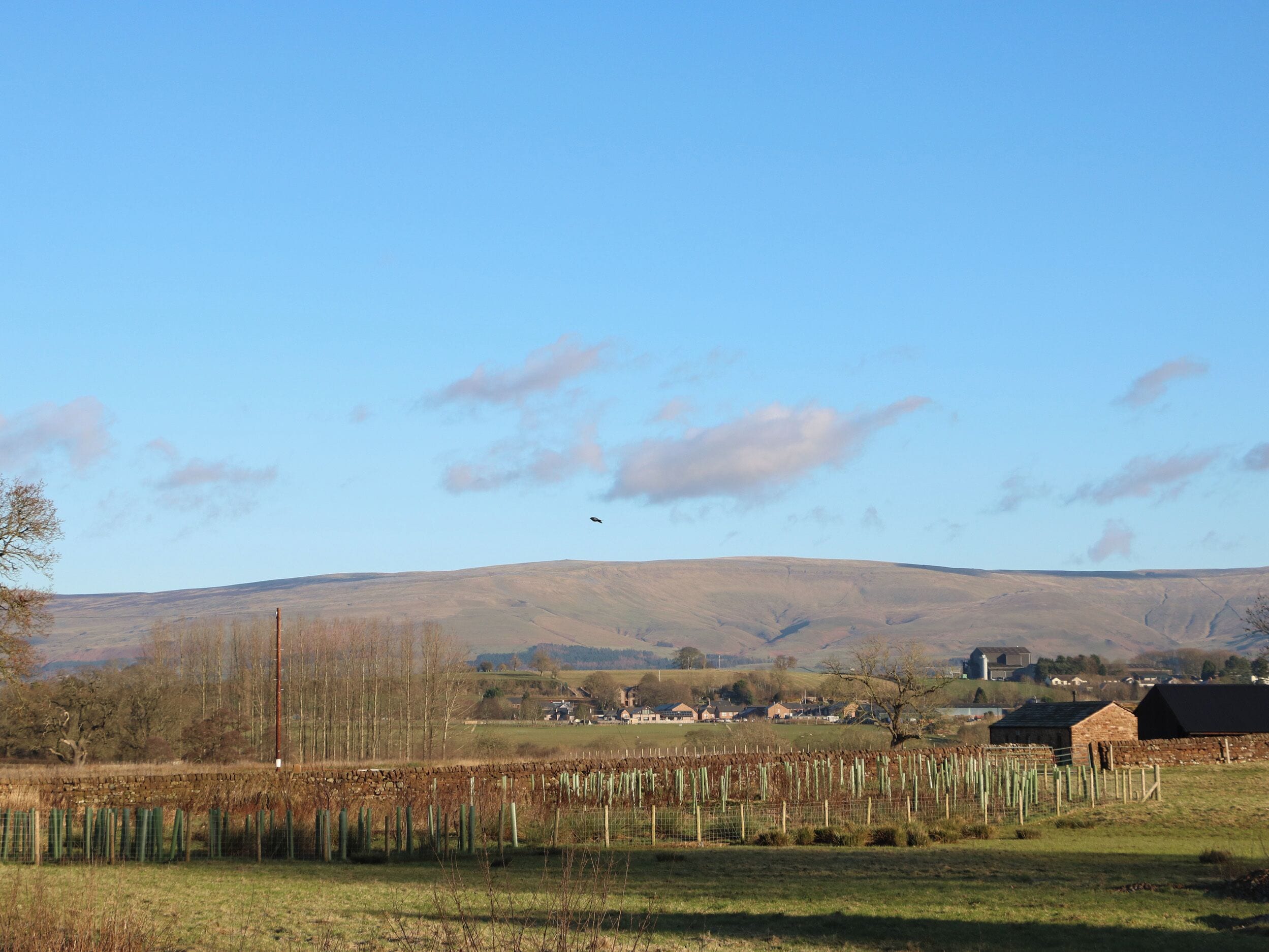 A rural landscape with a vineyard, stone walls, and a distant village.