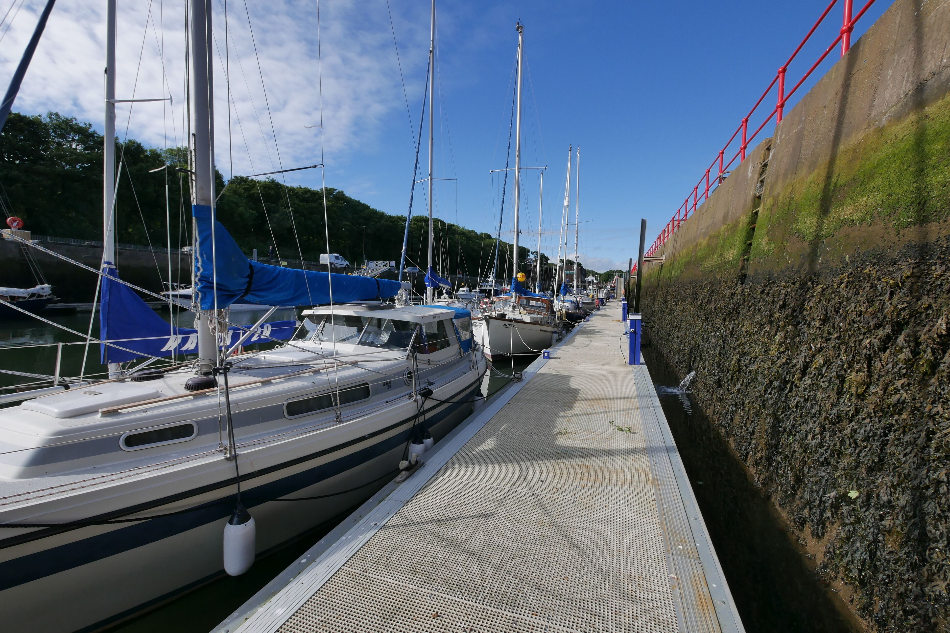A marina with multiple boats docked along a concrete wall with a metal walkway.