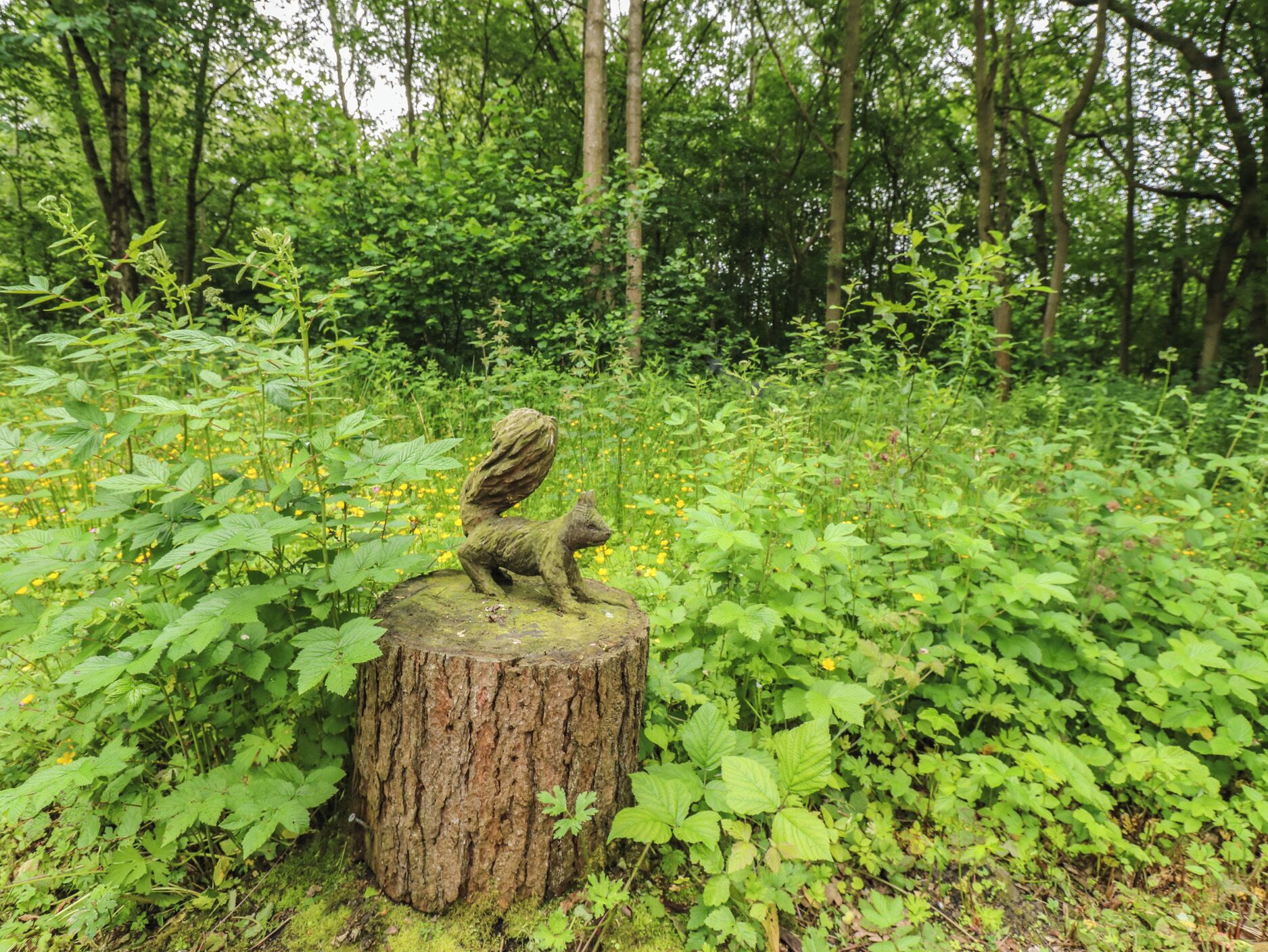 A forest scene with a statue of a fox on a tree stump.