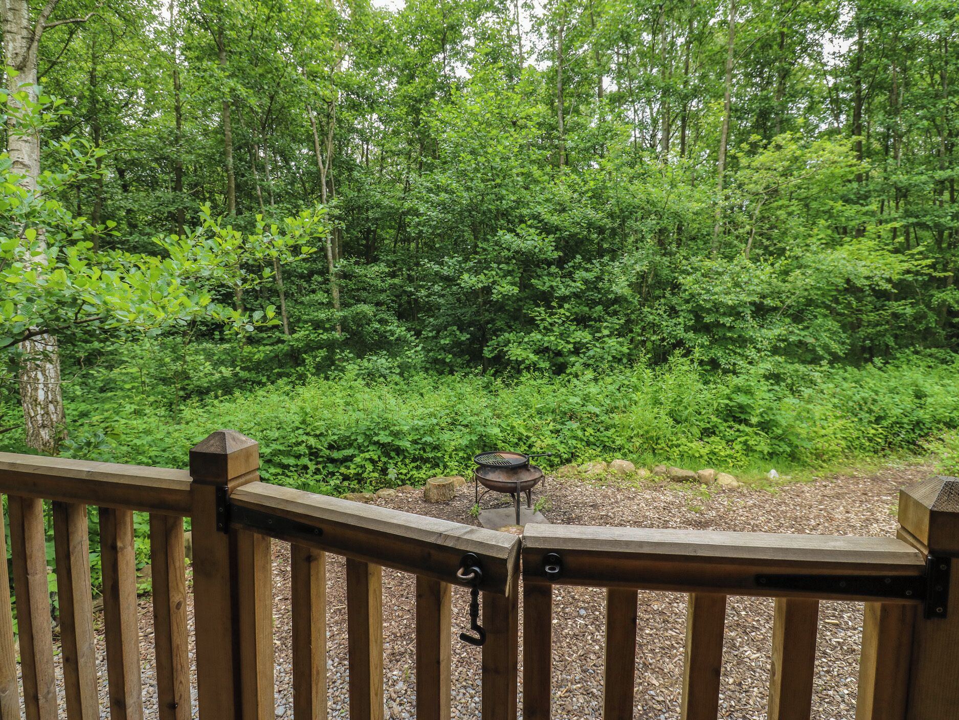 A wooden deck with a metal railing overlooking a dense forest.