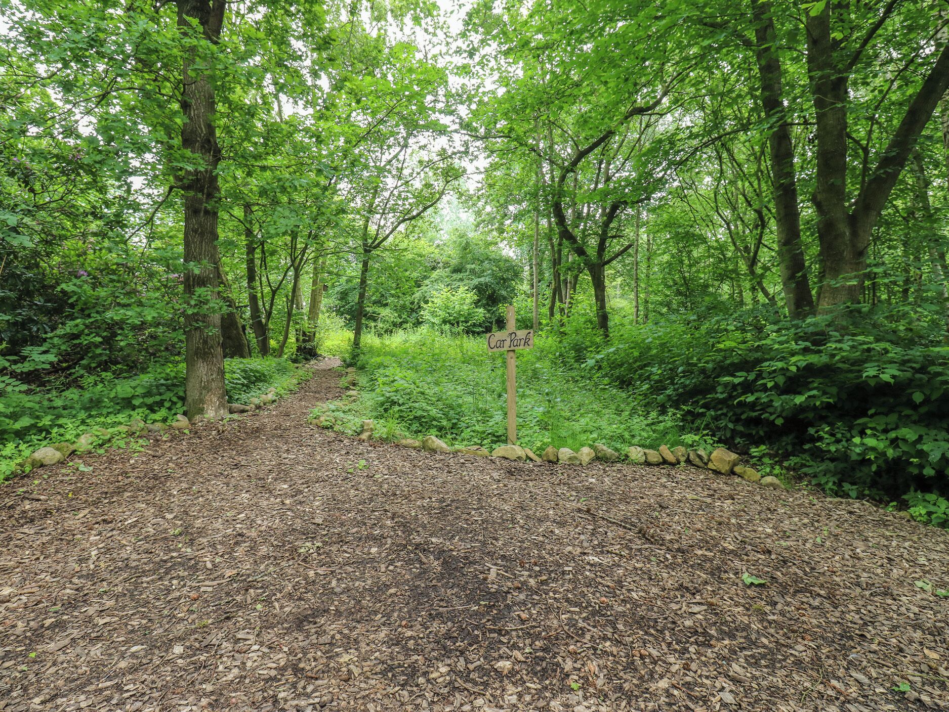A forested area with a sign indicating a car park.