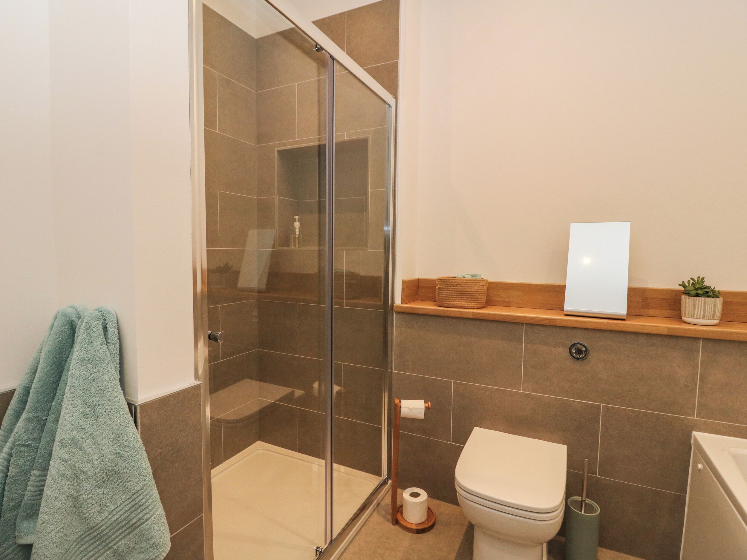 A modern bathroom with a glass-enclosed shower, a toilet, and a shelf with a plant and a mirror.